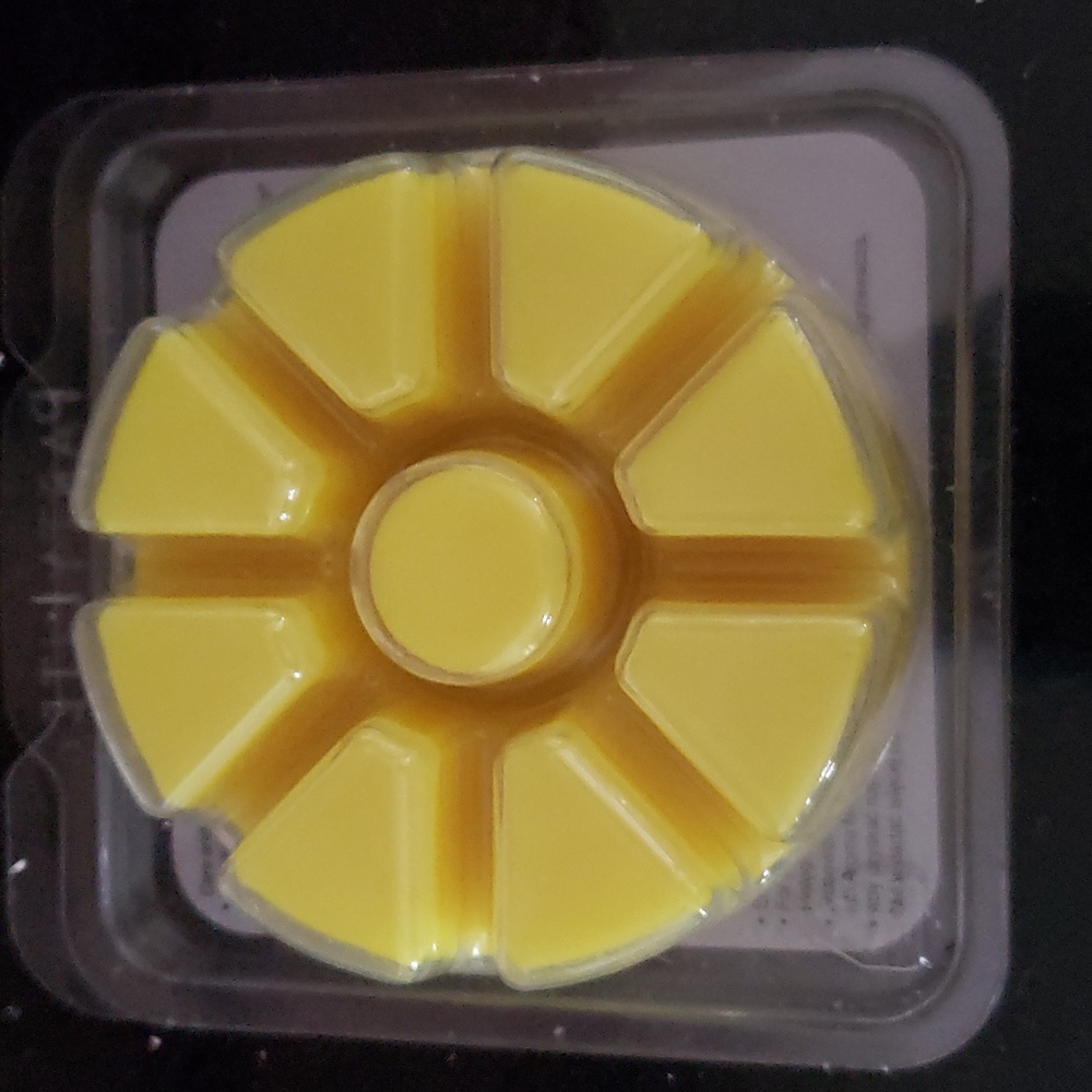 HOST PICK. Retired PartyLite Scent Plus Melts-Abracadabra